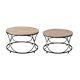 Coastal Set Of 2 Natural Wood Top Coffee Table In Black Finish With Iron And