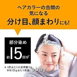 Set of 3? Rerise Hair Color for Gray Hair Re-Black Soft Finish Refill 190g