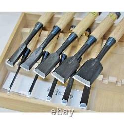 Tasai Oire Nomi Japanese Bench Chisels Fusetsu Set of 10 Black Finish